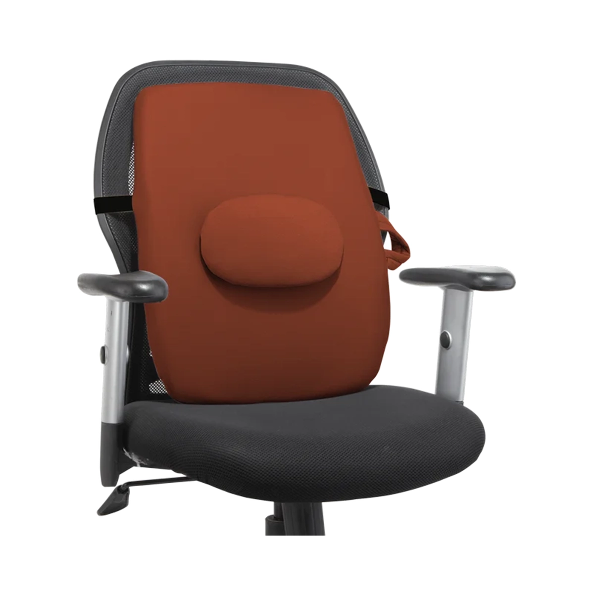 First product image of Flamingo Back Rest Maroon OC 2144 L