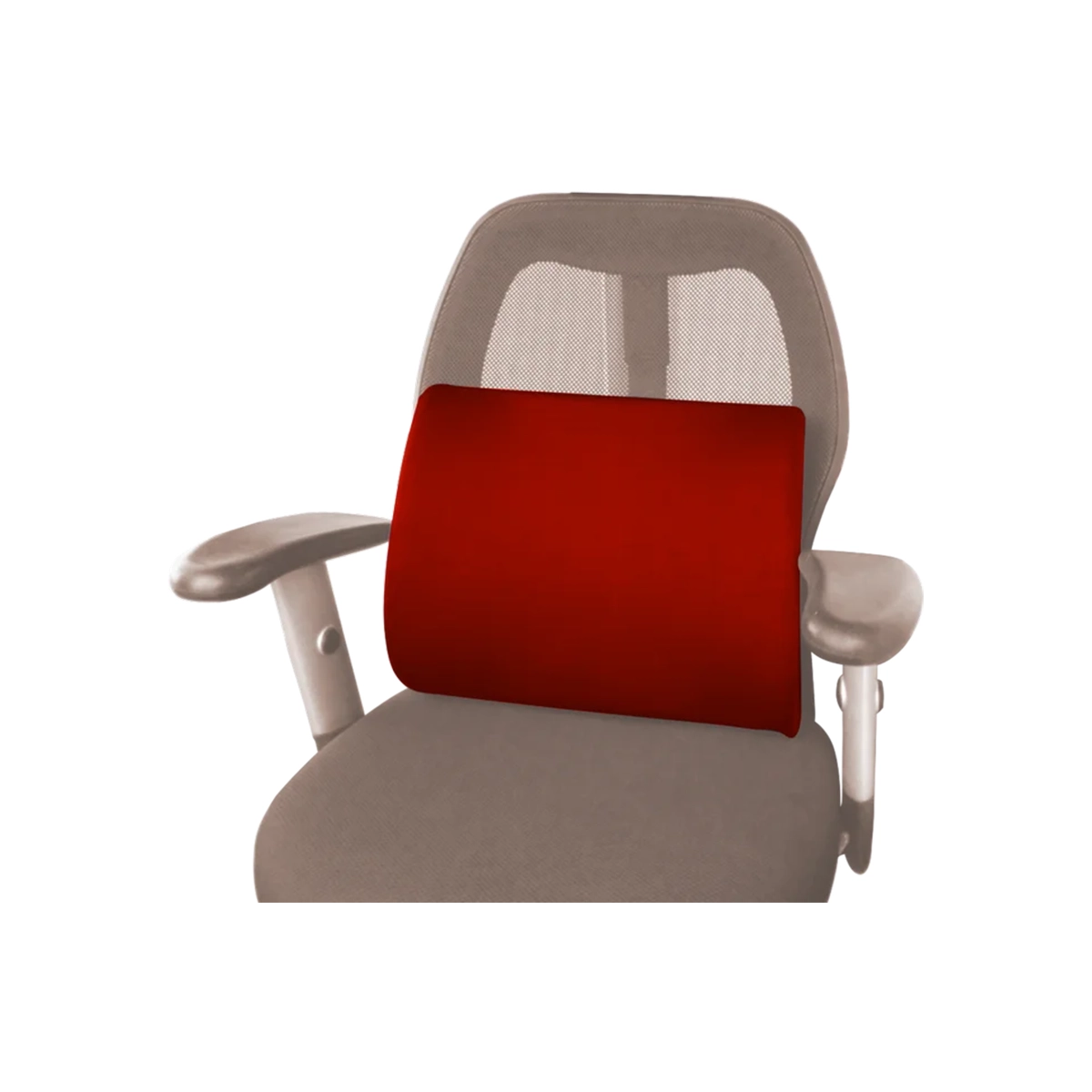 First product image of Flamingo Foam Back Rest Maroon OC 2181 S