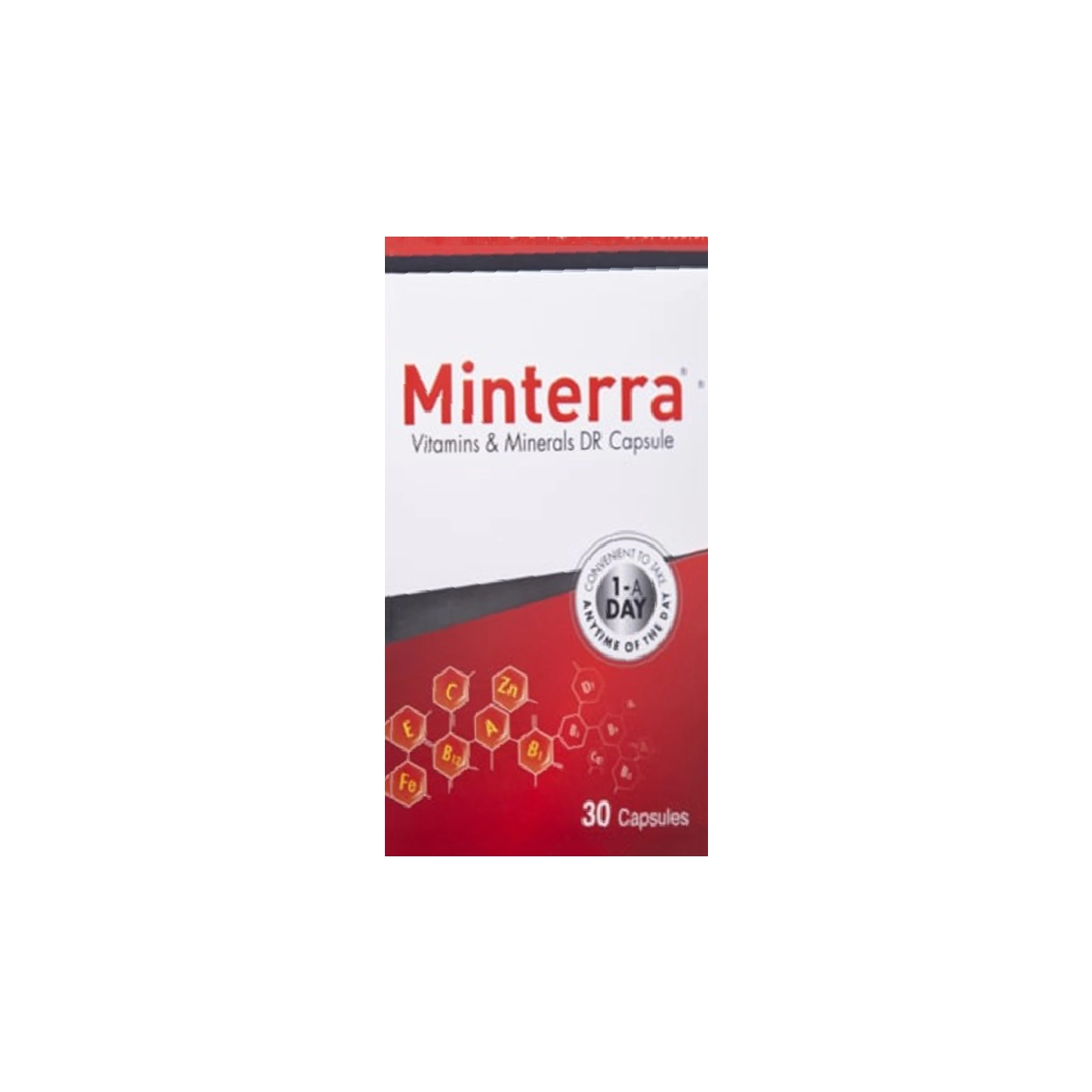 Minterra Vitamins & Minerals DR Capsules 30s - For Immunity, Wellness & Vegetarian Lifestyles