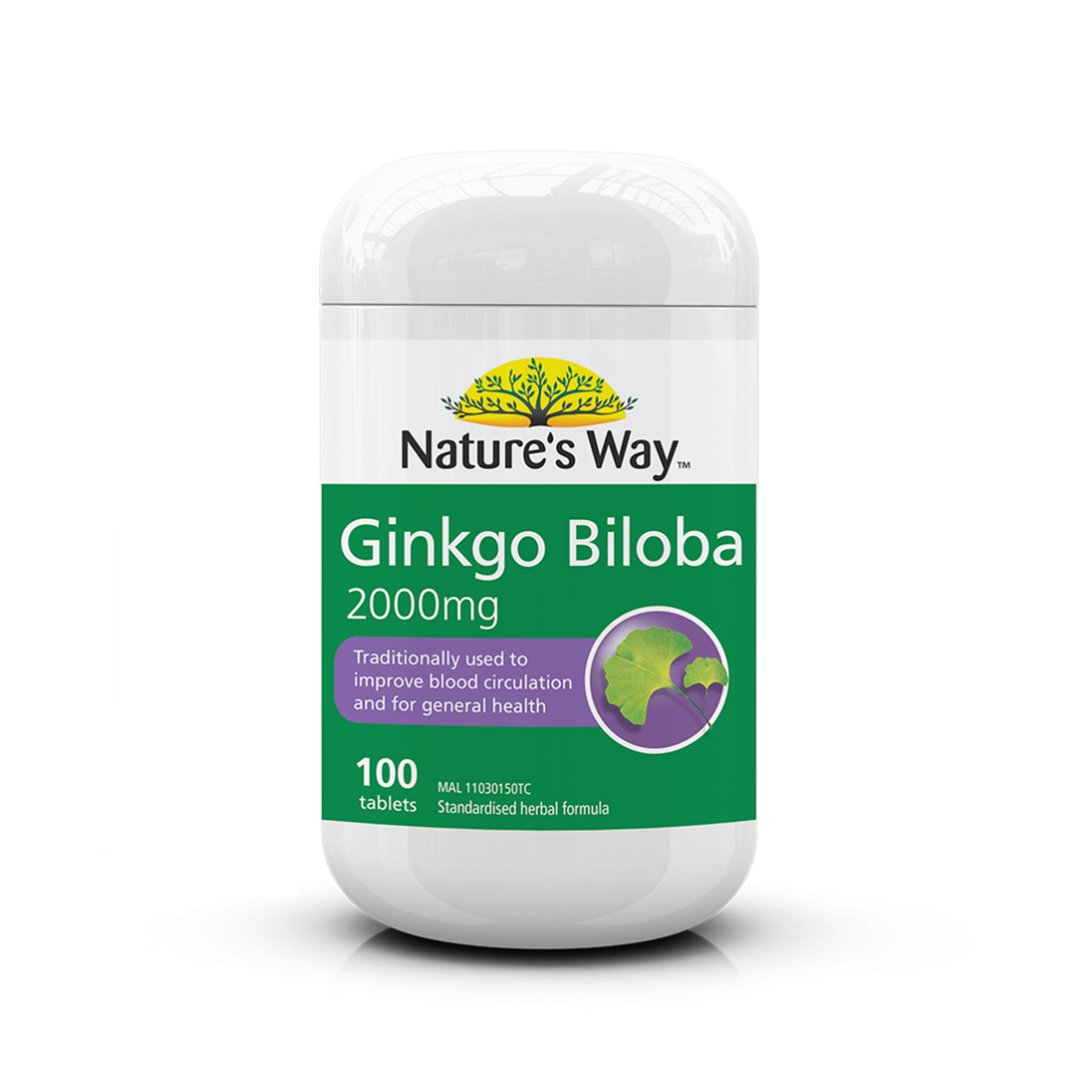 Nature’s Way Ginkgo Biloba 2000mg Tablets 100s - High-strength, Herbal supplements for  memory