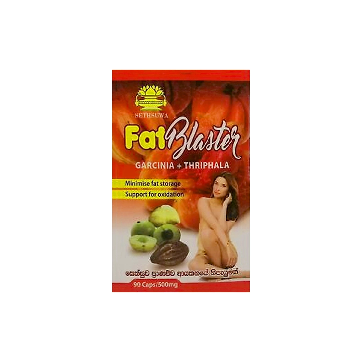 Sethsuwa Fat Blaster 500mg Capsules 90s - For obesity, Fat-burning supplements